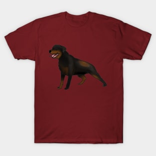 Rottweiler v2 T-Shirt